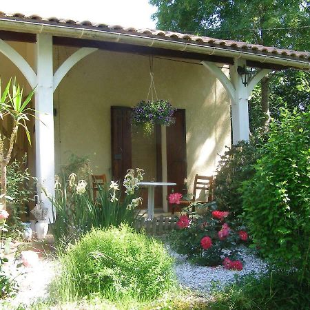 Ferienwohnung Le Bord De L'Eau Studio Sainte-Terre Exterior foto